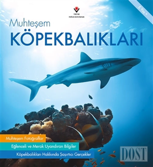 Muhteşem Köpekbalıkları